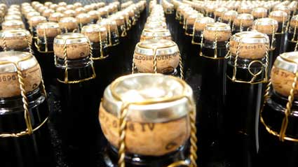 Organic Prosecco, Sparkling Wine 6 Bottle Mixed Case