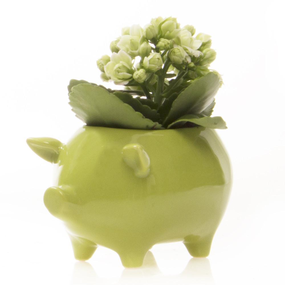 Porcelain Pig Vase